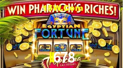 Experiência VIP II678